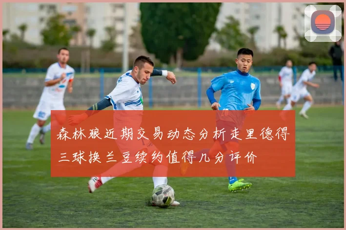 森林狼近期交易动态分析走里德得三球换兰豆续约值得几分评价